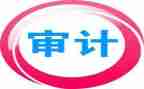 审计所工作计划5篇