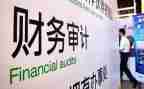 20237审计工作报告8篇