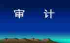 审计组工作总结模板6篇