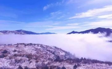 神农架旅游心得体会7篇