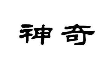 神奇的鸡蛋的作文8篇