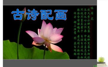 小班幼儿古诗教案7篇