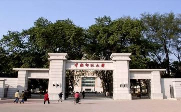 师范工作总结模板6篇