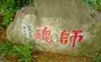 立师德铸师魂心得体会6篇