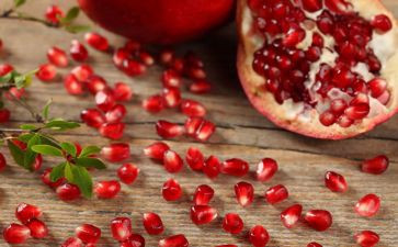 《石榴》读后感5篇