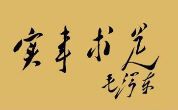 村为群众办实事工作总结7篇