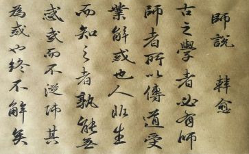 师说心得体会600字作文7篇