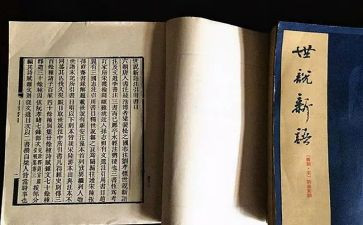世说新语读后感优质8篇