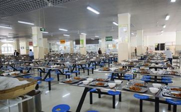食堂内工作计划最新8篇