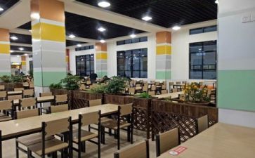对食堂调查报告通用7篇