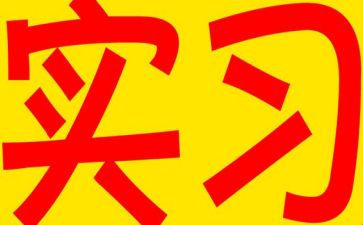 实习前的工作计划8篇