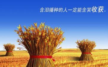 假期的收获心得体会5篇