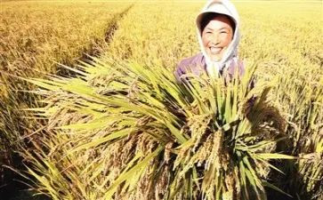培训总结收获和感悟心得7篇