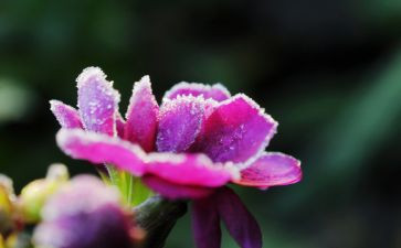 霜的工作的读后感优质7篇