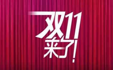 双111活动方案模板6篇