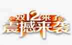 机构双12活动方案推荐5篇