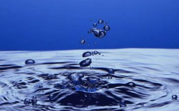 湖水污染调查报告模板6篇