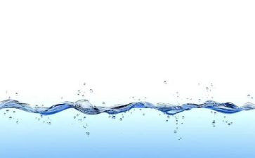 湖水污染调查报告6篇