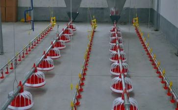 生产流水线工作总结7篇