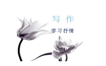 抒情的作文作文通用6篇