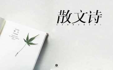 抒情作文优秀7篇