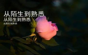 作文我熟悉的人600字模板5篇