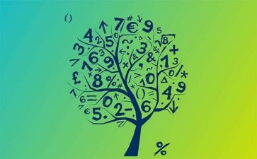365数学心得体会最新5篇