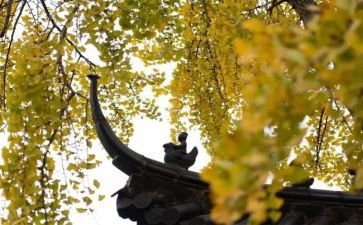 寺调查报告8篇