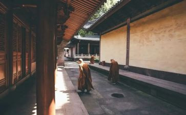 寺调查报告最新5篇