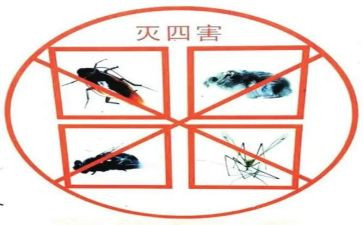 防四害工作总结优秀8篇