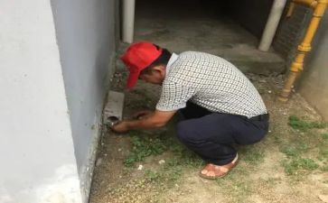 .除四害工作计划6篇