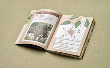 学四史心得体会6篇