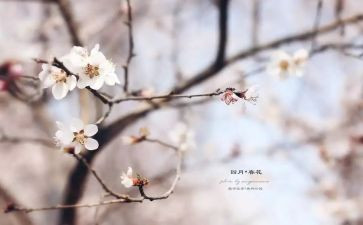 人间四月天作文推荐8篇