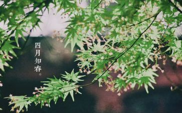 四月的心得体会8篇