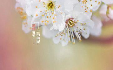 幼儿园四月的工作计划最新5篇
