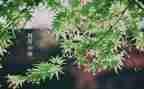 四月的心得体会8篇
