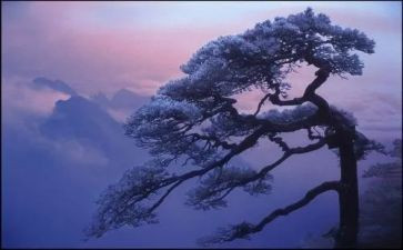 松鼠鼠的作文精选7篇