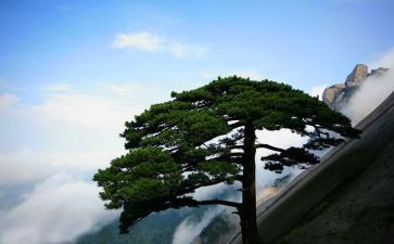 松鼠鼠的作文优秀8篇