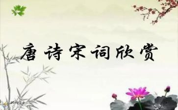 宋词读书心得5篇