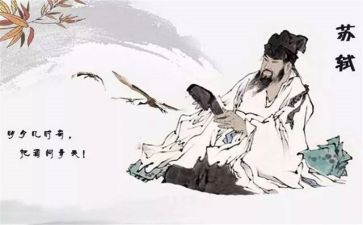 苏轼传读后感8篇