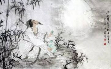 读苏轼诗的读后感6篇