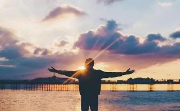 《你的孤独虽败犹荣》读后感6篇