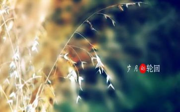 山居岁月的读后感模板6篇