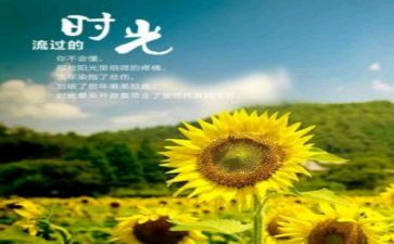 岁月的温暖作文8篇