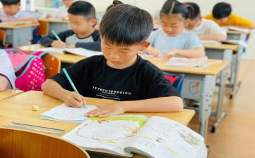暑假所见所闻作文6篇
