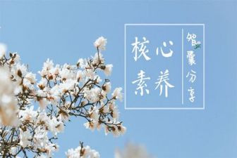 读教师素养的心得体会7篇
