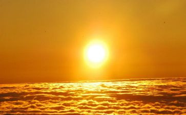 幼儿园小班种太阳教案7篇