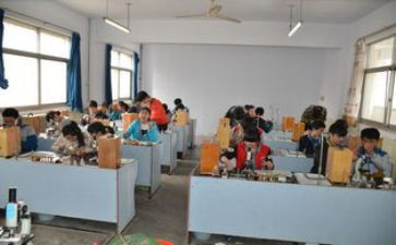 中班探究课教案5篇