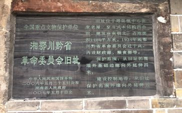 塔卧调查报告优秀8篇