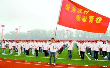 教师特岗培训心得体会6篇